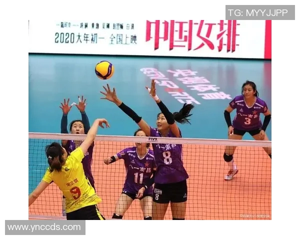 西安排球队的奋斗历程与精英赛背后的故事揭秘