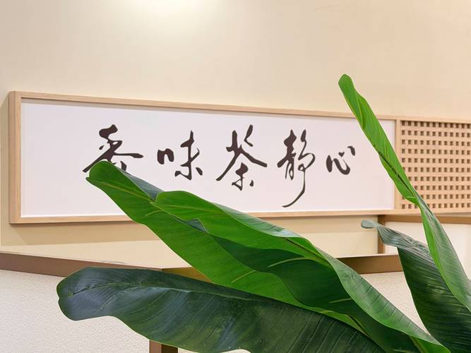 2026年靠谱的苗品记本土生态茶生产厂家挑选全攻略 | 茶叶选购指南